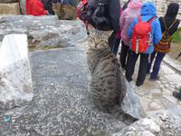 Türkei, Ephesus &ndash; &copy; Ria Heilmann (Eberhardt TRAVEL)