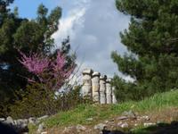 Türkei, Priene &ndash; &copy; Ria Heilmann (Eberhardt TRAVEL)