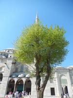 Istanbul 016 &ndash; &copy; Max Löffler (Eberhardt TRAVEL)