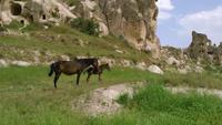 DSC_0493 &ndash; &copy; Kerstin Veit (Eberhardt TRAVEL)