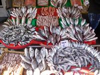 Fischmarkt &ndash; &copy; Sandra Mahr (Eberhardt TRAVEL)