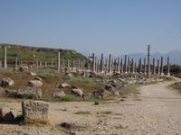 Perge