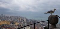 Blick von der Galerie des Galata Turms  &ndash; &copy; Annette Zocher (Eberhardt TRAVEL)