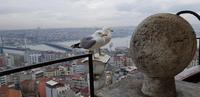Auf der Galerie des Galata Turms &ndash; &copy; Annette Zocher (Eberhardt TRAVEL)