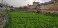 Gemüseanbau am Fuß der Stadtmauer &ndash; &copy; Annette Zocher (Eberhardt TRAVEL)