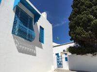 037 Sidi Bou Said &ndash; &copy; Patrick Fritzsche (Eberhardt TRAVEL)