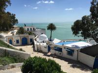 039 Sidi Bou Said &ndash; &copy; Patrick Fritzsche (Eberhardt TRAVEL)