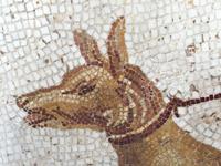 064 Bardo Museum Tunis &ndash; &copy; Patrick Fritzsche (Eberhardt TRAVEL)