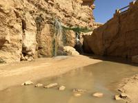 131 Bergoase Tamerza &ndash; &copy; Patrick Fritzsche (Eberhardt TRAVEL)
