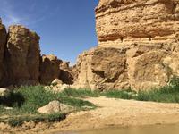 132 Bergoase Tamerza &ndash; &copy; Patrick Fritzsche (Eberhardt TRAVEL)