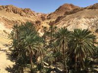 134 Bergoase Chebika &ndash; &copy; Patrick Fritzsche (Eberhardt TRAVEL)