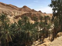 135 Bergoase Chebika &ndash; &copy; Patrick Fritzsche (Eberhardt TRAVEL)