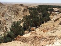 142 Bergoase Chebika &ndash; &copy; Patrick Fritzsche (Eberhardt TRAVEL)