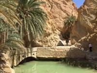 144 Bergoase Chebika &ndash; &copy; Patrick Fritzsche (Eberhardt TRAVEL)