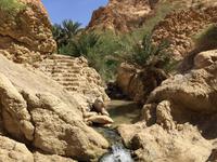 147 Bergoase Chebika &ndash; &copy; Patrick Fritzsche (Eberhardt TRAVEL)