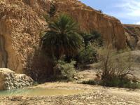 149 Bergoase Chebika &ndash; &copy; Patrick Fritzsche (Eberhardt TRAVEL)