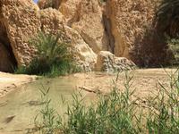 151 Bergoase Chebika &ndash; &copy; Patrick Fritzsche (Eberhardt TRAVEL)