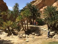 154 Bergoase Chebika &ndash; &copy; Patrick Fritzsche (Eberhardt TRAVEL)