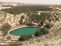 172 Oase Nefta &ndash; &copy; Patrick Fritzsche (Eberhardt TRAVEL)