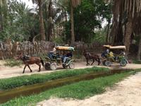 196 in der Oase Tozeur &ndash; &copy; Patrick Fritzsche (Eberhardt TRAVEL)