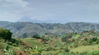Blick Richtung Süden - in Richtung Ruanda und Kongo &ndash; &copy; Julian Bartsch (Eberhardt TRAVEL)