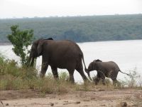 Elefanten &ndash; &copy; Julian Bartsch (Eberhardt TRAVEL)