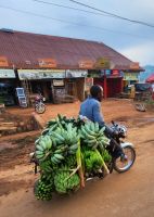 Wozu braucht man einen LKW? &ndash; &copy; Petra Hady (Eberhardt TRAVEL)