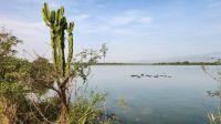 Queen Elisabeth Nationalpark &ndash; &copy; Petra Hady (Eberhardt TRAVEL)