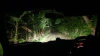Jeepfahrt im Dunkeln &ndash; &copy; Petra Hady (Eberhardt TRAVEL)