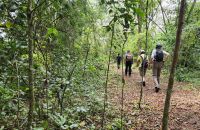 Naturwalk Bigodi Wetlands &ndash; &copy; Petra Hady (Eberhardt TRAVEL)