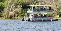 Elefant am Ufer - Bootsfahrt auf dem Nil &ndash; &copy; Petra Hady (Eberhardt TRAVEL)