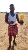 Frische Ananas &ndash; &copy; Petra Hady (Eberhardt TRAVEL)