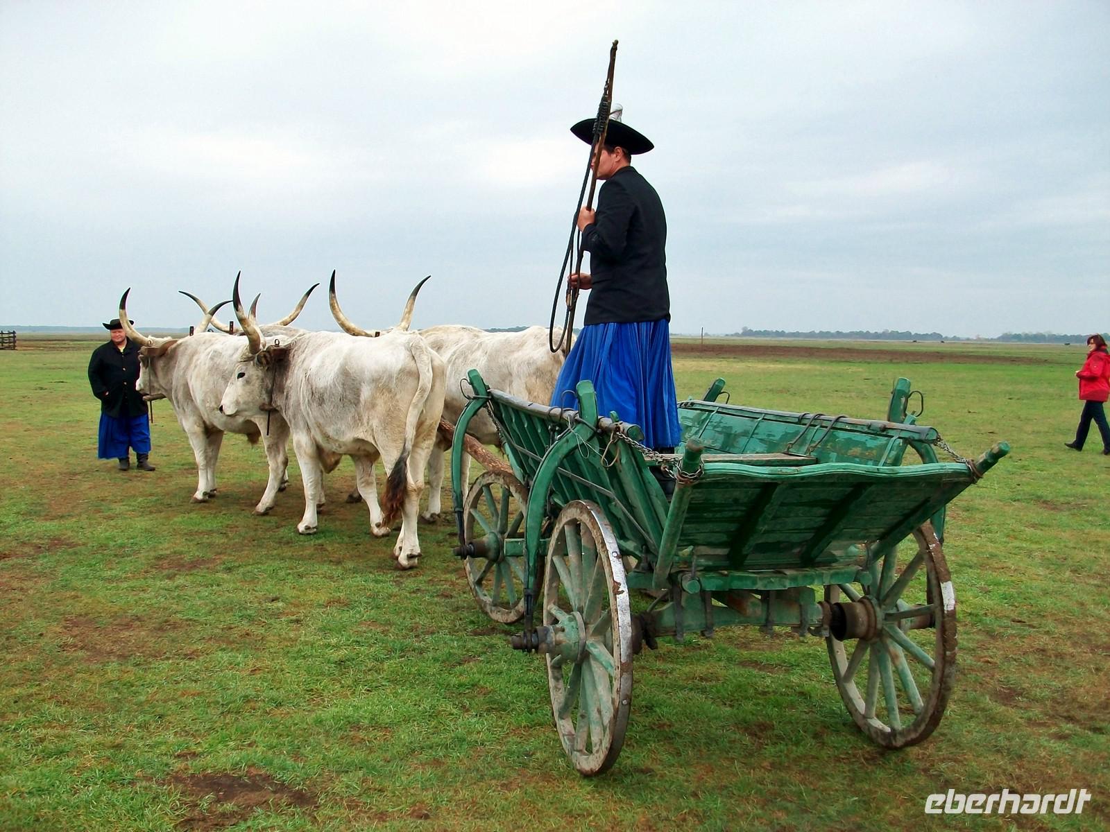 In der Puszta &ndash; &copy; Steffen Mucke (Eberhardt TRAVEL)
