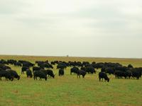 In der Puszta &ndash; &copy; Steffen Mucke (Eberhardt TRAVEL)