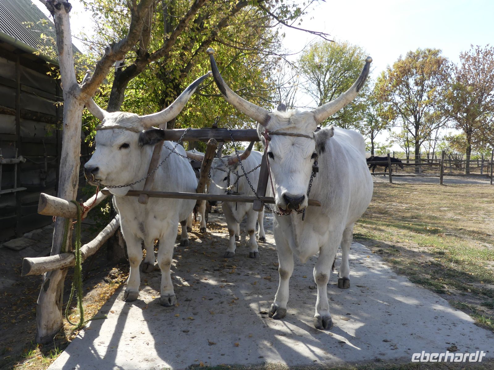 &copy; Liane Klein (Eberhardt TRAVEL)