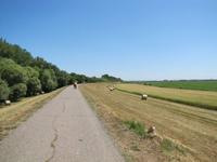 Radtour: Poroszló – Tiszafüred (55 km) &ndash; &copy; Jacob Spangenberg (Eberhardt TRAVEL)