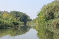 5. Tag: Radtour von Poroszlo nach Dobapuszta entlang der Theiss - Bootsfahrt auf der Theiss &ndash; &copy; Jacob Spangenberg (Eberhardt TRAVEL)