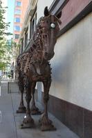 Calgary &ndash; &copy; Sylvia Ott (Eberhardt TRAVEL)