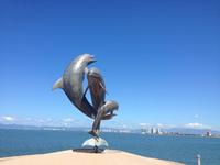 Puerto Vallarta &ndash; &copy; Francisco Javier Burgos Gutierrez (Eberhardt TRAVEL)