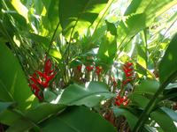 Huatulco &ndash; &copy; Francisco Javier Burgos Gutierrez (Eberhardt TRAVEL)