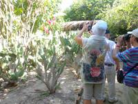 Huatulco &ndash; &copy; Francisco Javier Burgos Gutierrez (Eberhardt TRAVEL)
