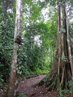 Puntarenas &ndash; &copy; Francisco Javier Burgos Gutierrez (Eberhardt TRAVEL)