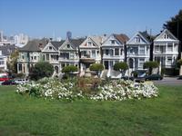 The Painted Ladies &ndash; &copy; Claudia Rossin (Eberhardt TRAVEL)
