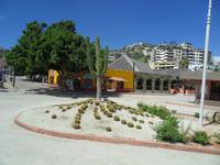 Kakteen? Klar, wir sind in Mexiko! &ndash; &copy; Claudia Rossin (Eberhardt TRAVEL)