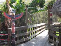 Die Everglades vom 