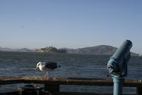 San Francisco &ndash; &copy; Annett Müller (Eberhardt TRAVEL)
