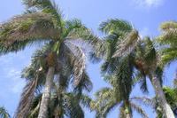 IMG_2522 &ndash; &copy; Annett Müller (Eberhardt TRAVEL)