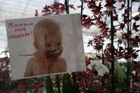 Orchideenfarm &ndash; &copy; Annett Müller (Eberhardt TRAVEL)