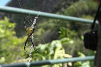 IMG_3575 &ndash; &copy; Annett Müller (Eberhardt TRAVEL)