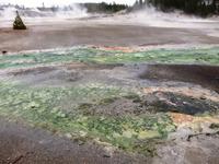 Yellowstone Nationalpark, Norris Geyser Basin &ndash; &copy; Ralf Mehnert (Eberhardt TRAVEL)